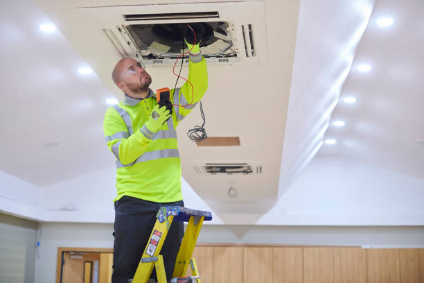 Best HVAC Air Duct Cleaning  in Hector, MN