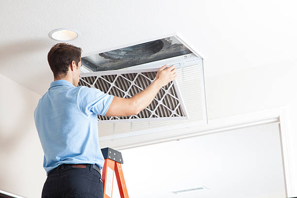 Best HVAC Installation Services  in Hector, MN