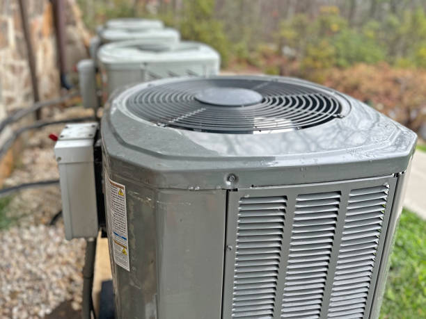 Best Air Quality Test  in Hector, MN